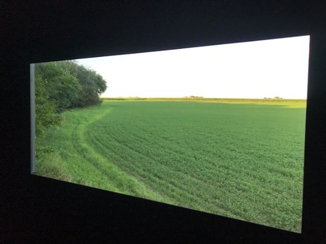 View from hunting blind window