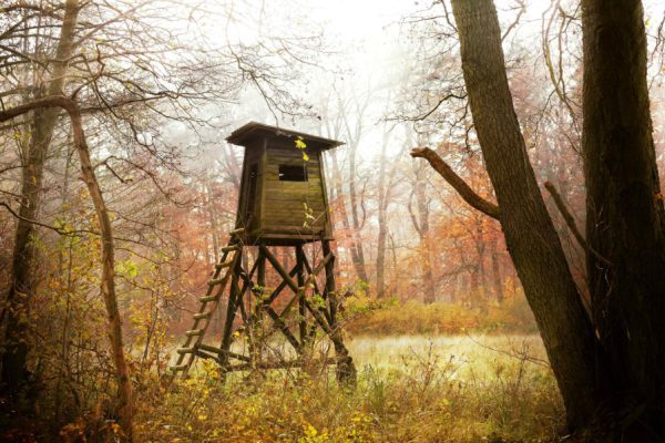 Blind in Wooded area History of Hunting Blinds Featured Image