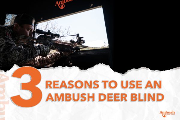 3 reasons to use an Ambush Deer Blind