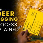 deer tagging process explained Ambush deer hunting blinds