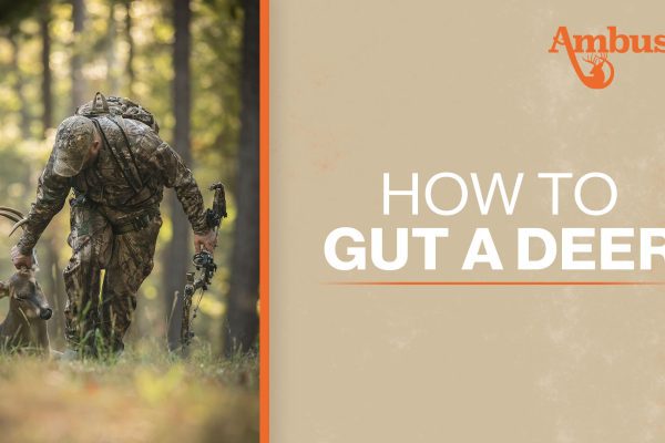 How to Gut a Deer