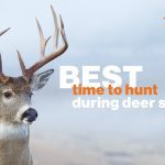 Best time to hunt during deer season