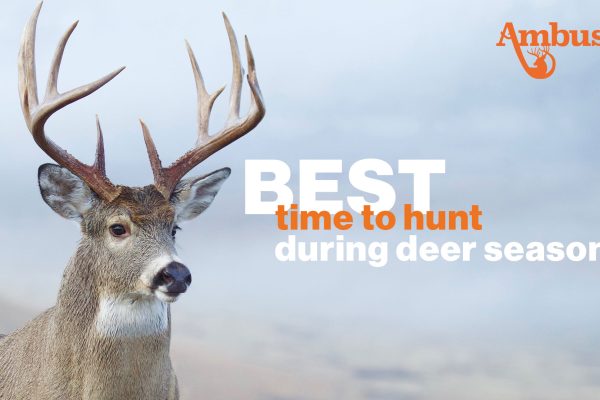 Best time to hunt during deer season