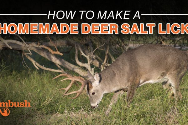 How to make a homemade deer salt lick