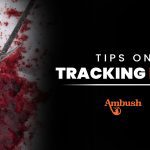 Tips on Tracking Deer