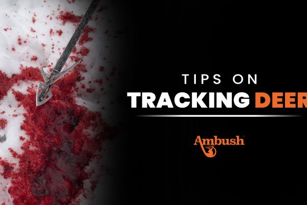 Tips on Tracking Deer