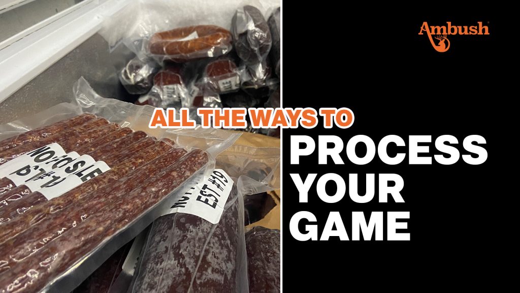 All the ways to process your game