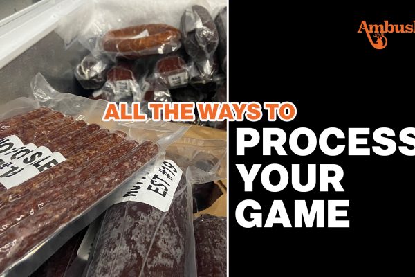 All the ways to process your game